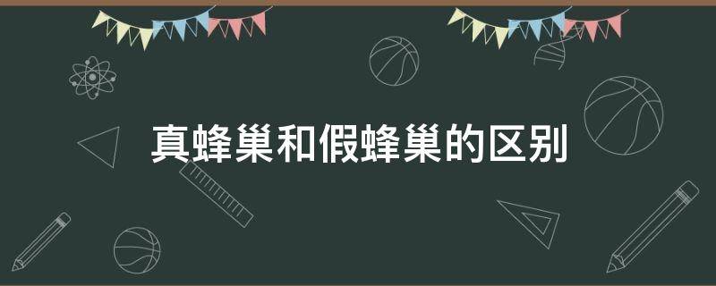 真蜂巢和假蜂巢的区别 蜂巢有假的吗?