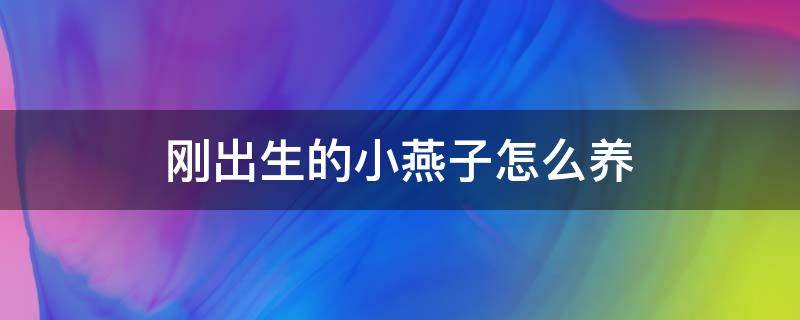 刚出生的小燕子怎么养 刚出来的小燕子怎么养?