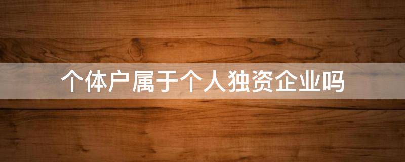 个体户属于个人独资企业吗（个人独资企业是属于个体户吗）