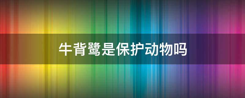 牛背鹭是保护动物吗 牛背鹭是珍稀鸟类吗