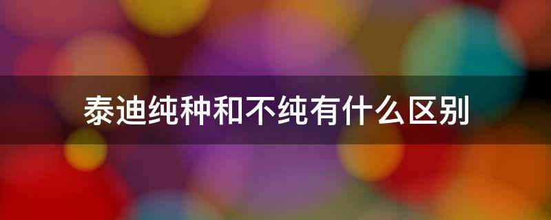 泰迪纯种和不纯有什么区别 怎么分辨纯种泰迪和不纯种泰迪