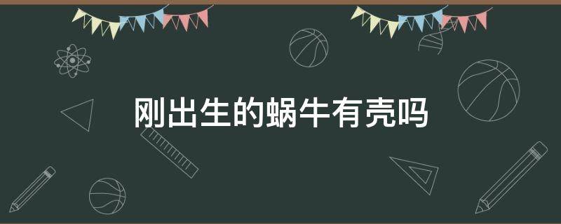 刚出生的蜗牛有壳吗 蜗牛生出来有壳吗