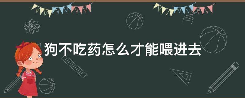 狗不吃药怎么才能喂进去 狗狗不吃药怎么喂