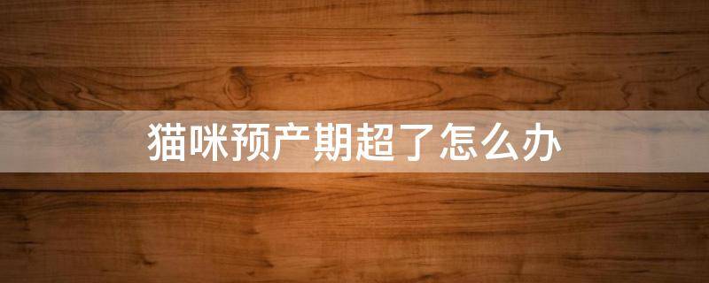 猫咪预产期超了怎么办 猫超出预产期多少天正常