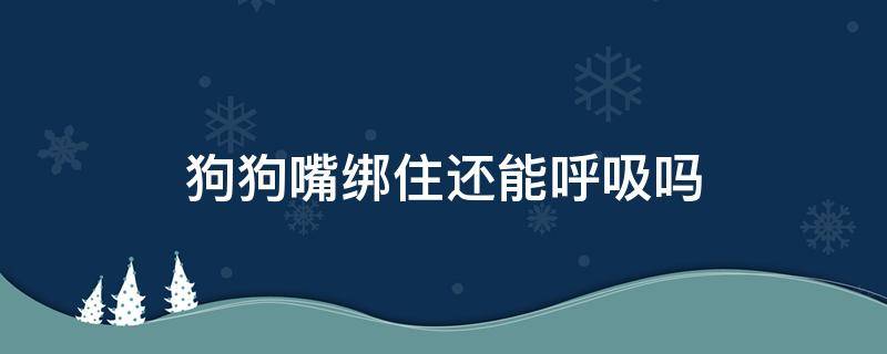 狗狗嘴绑住还能呼吸吗（把狗狗嘴巴绑起来）