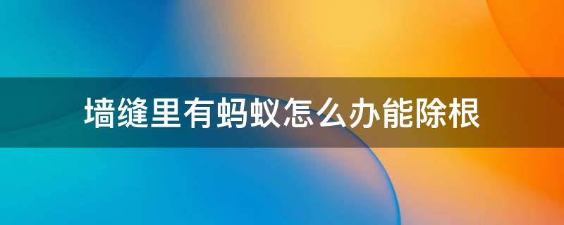 墙缝里有蚂蚁怎么办能除根 墙缝里蚂蚁 怎么根除