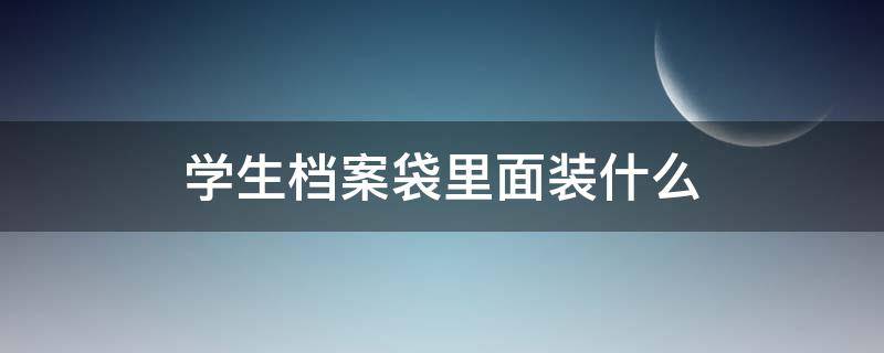学生档案袋里面装什么（学生材料袋里装的档案都有哪些）
