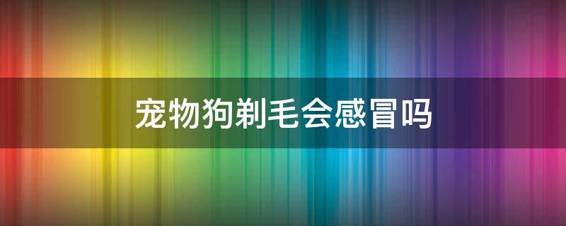 宠物狗剃毛会感冒吗 狗狗剃毛会感冒吗