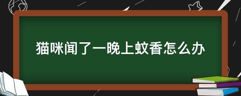 猫咪闻了一晚上蚊香怎么办 猫咪闻到蚊香怎么办
