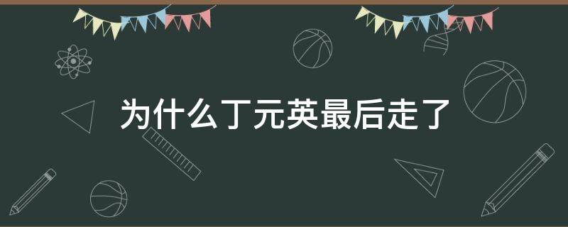 为什么丁元英最后走了 为什么丁元英最后走了不让人送