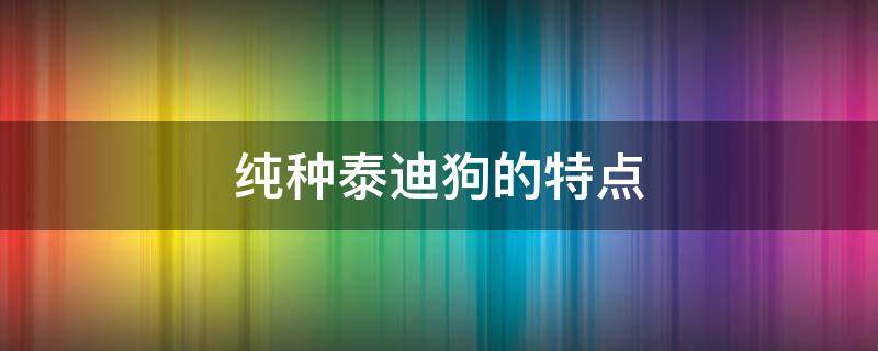 纯种泰迪狗的特点（正宗泰迪狗有哪些特点）