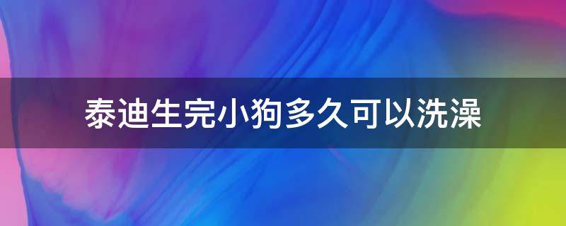 泰迪生完小狗多久可以洗澡（泰迪狗生完小狗多长时间可以洗澡）