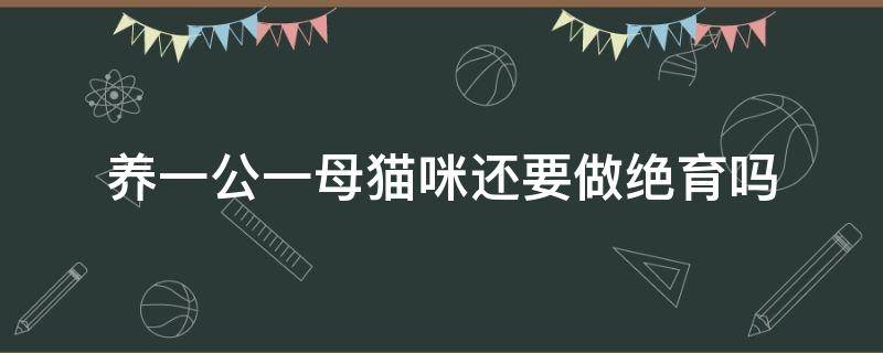 养一公一母猫咪还要做绝育吗 一公一母只给公猫绝育