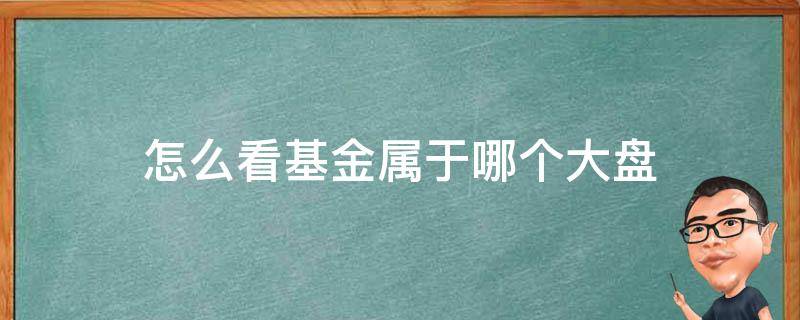 怎么看基金属于哪个大盘（怎么看自己的基金属于哪个大盘）