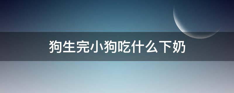 狗生完小狗吃什么下奶（狗生完小狗吃什么下奶多）
