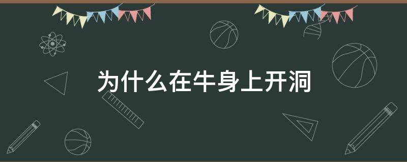 为什么在牛身上开洞 为什么要在牛身上开洞