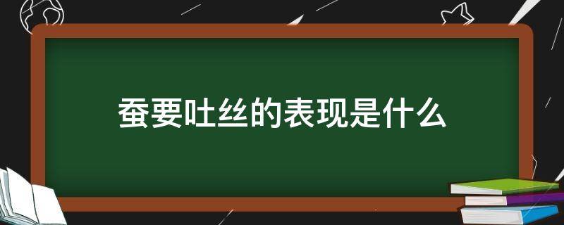 蚕要吐丝的表现是什么 蚕出现什么情况就是要吐丝了
