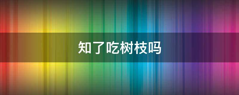 知了吃树枝吗 知了吃什么树枝