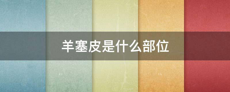 羊塞皮是什么部位（羊塞皮是羊哪里的肉）