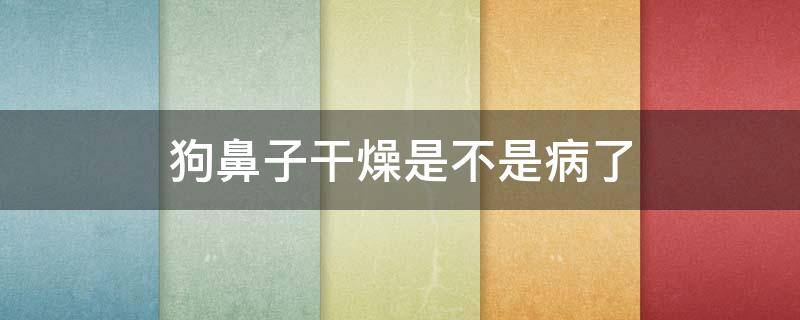 狗鼻子干燥是不是病了 狗鼻子干燥是怎么回事