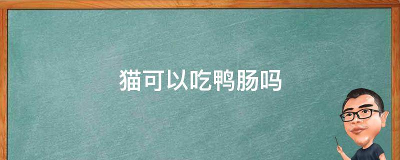 猫可以吃鸭肠吗 猫可以吃煮熟的鸭肠吗