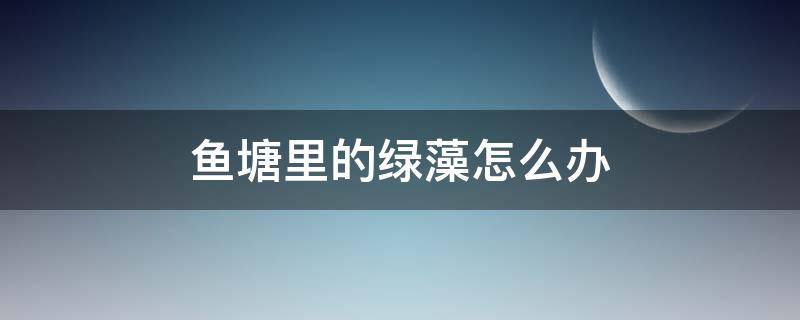 鱼塘里的绿藻怎么办（鱼塘里的绿藻怎么去除）