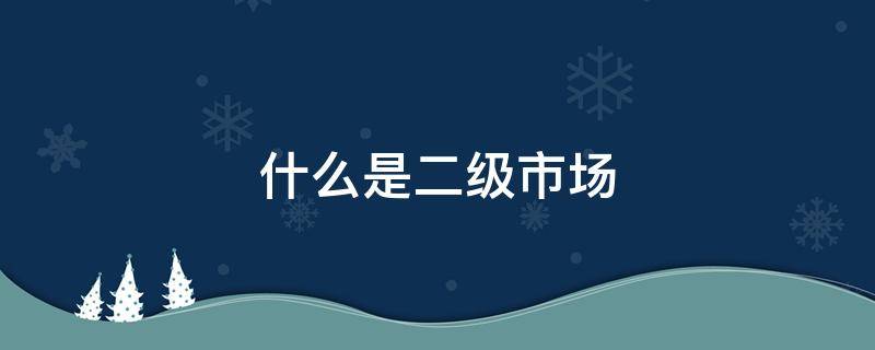 什么是二级市场（什么是二级市场鞋子）