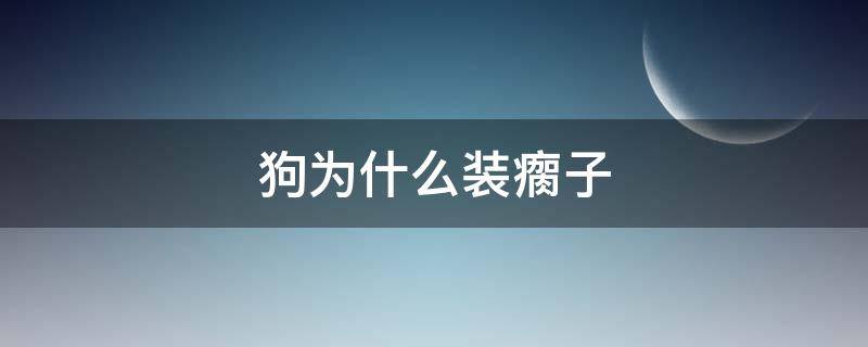 狗为什么装瘸子（狗子装瘸是什么原因）