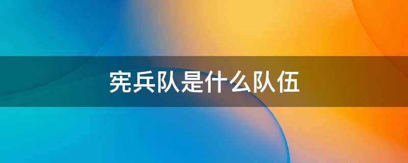 宪兵队是什么队伍 国民党宪兵队是什么队伍