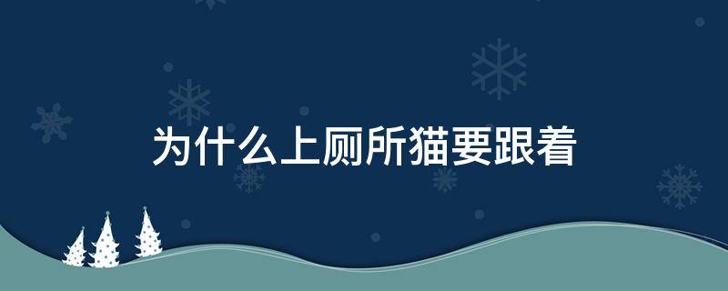 为什么上厕所猫要跟着 为什么上厕所猫要跟着你