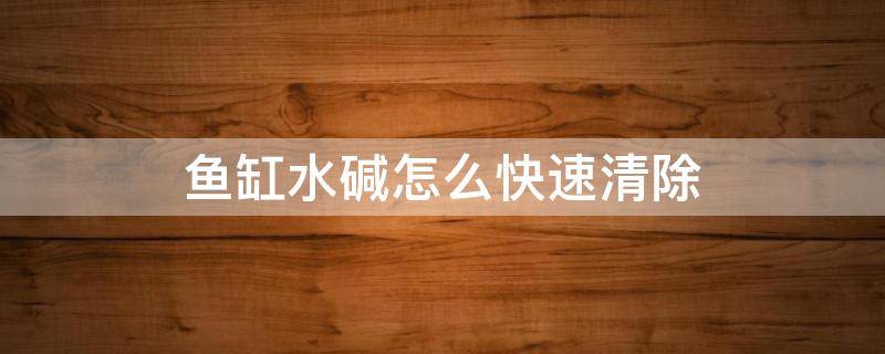 鱼缸水碱怎么快速清除（水缸里的水碱怎么清理）