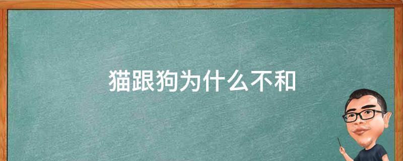 猫跟狗为什么不和（狗和猫为啥不和）
