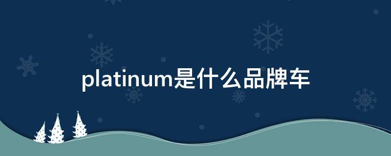 platinum是什么品牌车（汽车platinum是什么品牌）