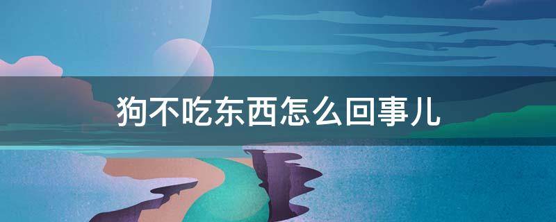 狗不吃东西怎么回事儿（狗不吃东西怎么回事儿?狗不吃食大便干是怎么回事?）