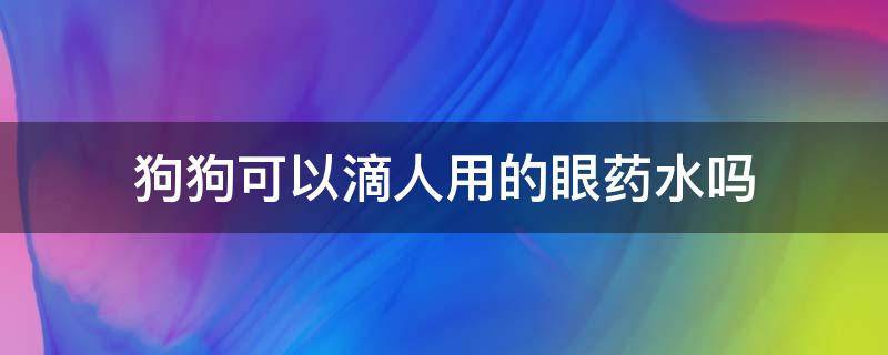 狗狗可以滴人用的眼药水吗（狗狗的眼睛可以滴人的眼药水吗）