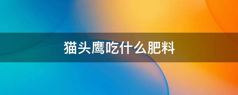 猫头鹰吃什么肥料（猫头鹰吃什么饲料）