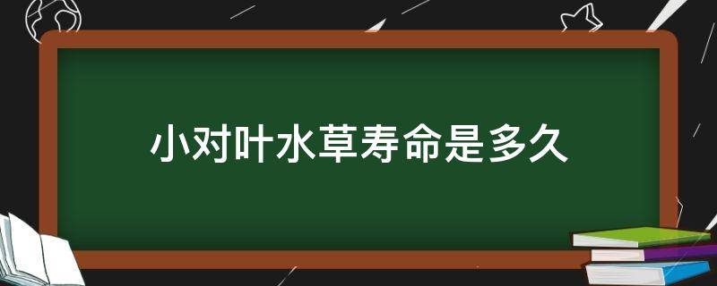 小对叶水草寿命是多久 小对叶水草冬天会死吗