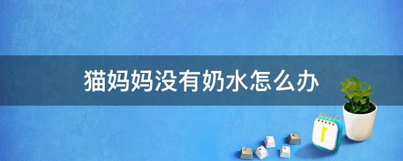 猫妈妈没有奶水怎么办（母猫没有奶水怎么办）