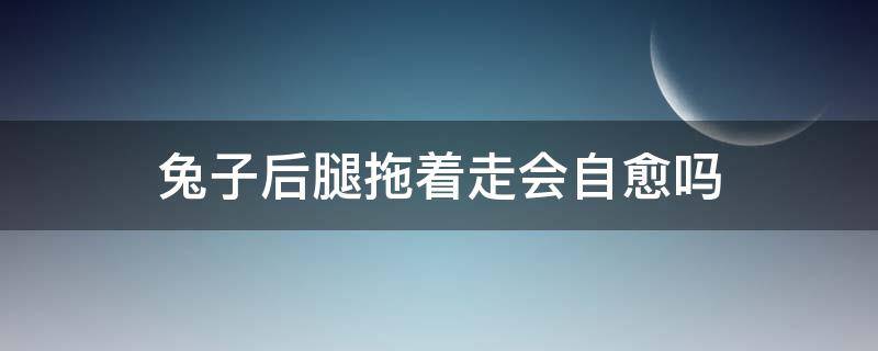 兔子后腿拖着走会自愈吗 兔子后腿抬着走会自愈吗