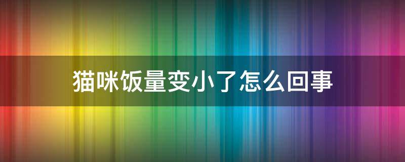 猫咪饭量变小了怎么回事 小猫咪饭量变小