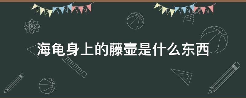 海龟身上的藤壶是什么东西（藤壶长海龟身上）