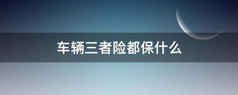 车辆三者险都保什么（汽车保险三者都保什么）