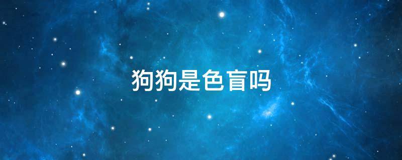 狗狗是色盲吗 狗狗是色盲吗 那它怎么看路的