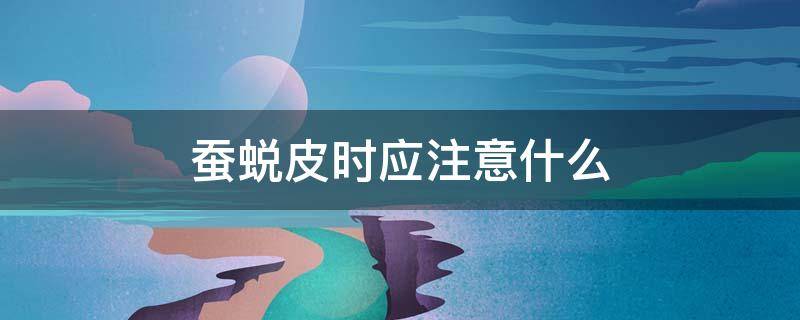 蚕蜕皮时应注意什么（蚕蜕皮时应该注意什么）