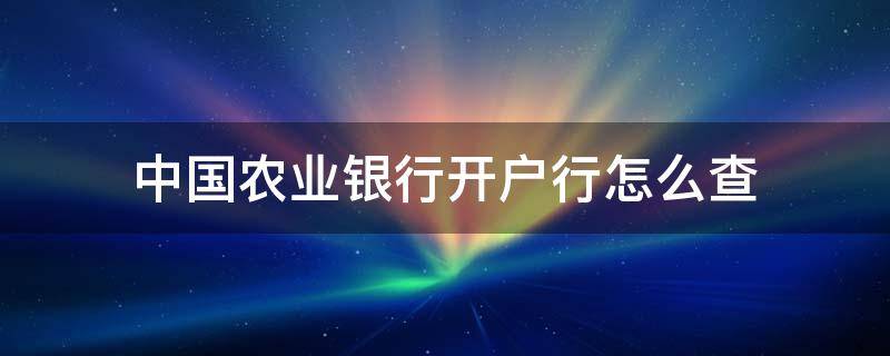 中国农业银行开户行怎么查 如何查中国农业银行开户行