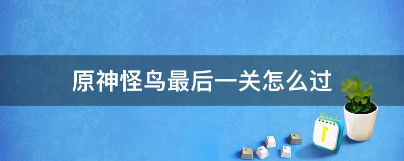 原神怪鸟最后一关怎么过 原神怪鸟最后一关怎么飞不过去