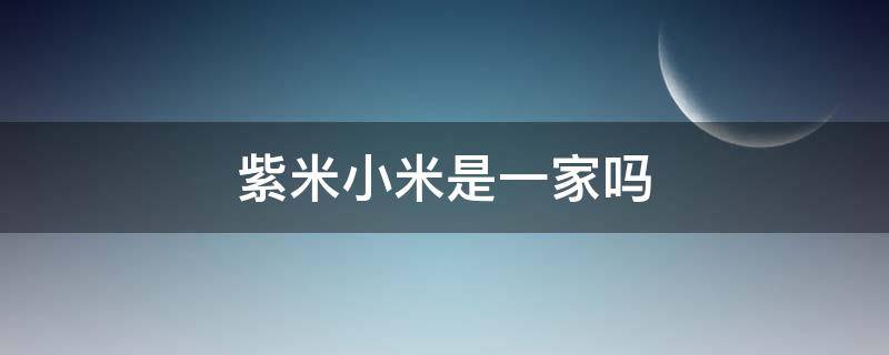 紫米小米是一家吗 紫米是小米家的吗