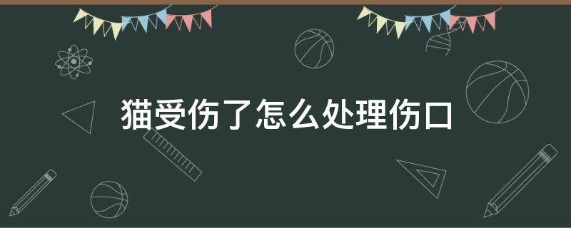 猫受伤了怎么处理伤口（猫受伤了怎么处理伤口用奥硝唑可以吗）