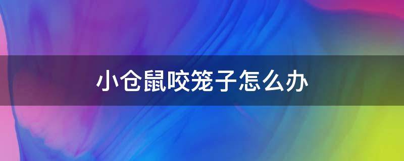 小仓鼠咬笼子怎么办 小仓鼠咬笼子该怎么办呢