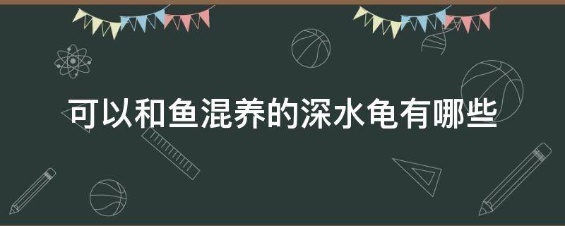 可以和鱼混养的深水龟有哪些（鱼缸混养深水龟）